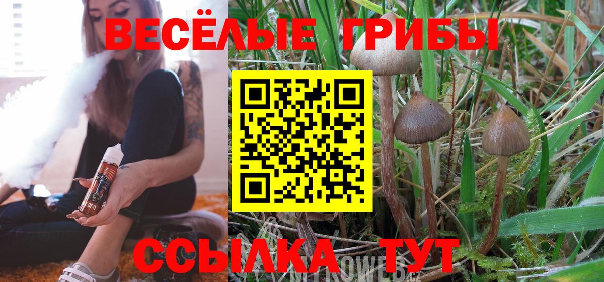 Елабуга  Галлюциногенные грибы Magic Shrooms  Вход с VPN 