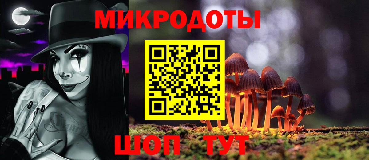 Псилоцибиновые грибы мухоморы Елабуга